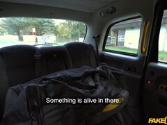 Blondýna, Kuřba, Auto, Na pejska, Šaty, Dávení, Venku, Krátké vlasy