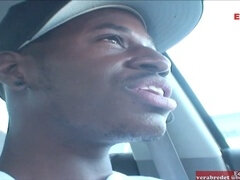 Americano, Verga grande, Negro, Peludo