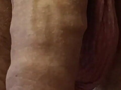 Veľké péro, Pár, Európskej, Honění, Homemade