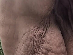 Amerikaans, Mooie dikke vrouwen, Vrouw, Vrijster, Masturbatie, Rijpe lesbienne, Kut duiken, Alleen