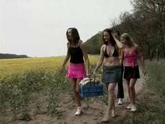 하드코어, 공개적인