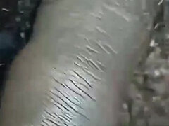 Amateur, Peludo, Indio