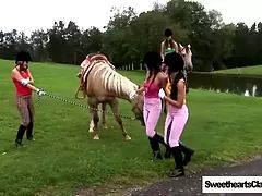 Lesbian Orgy at the Stables (Remastered)