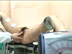 Creme tærte, Doktor, Hårdt, Janpansk