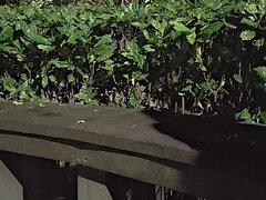 Shemale Ting Xuan Outdoor Amazing Anal