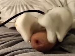 Amatør, Britisk, Sperm skott, Hardcore, Sexy undertøy, Alene, Leker, Vibrator