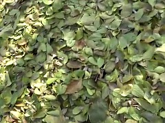 Anale, Bionda, Pompino, All'aperto