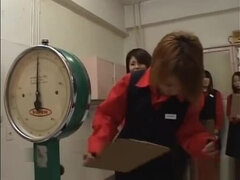 Amatéři, Asijské, Skupina, Japonské