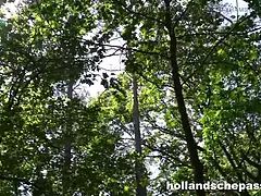 69, Sucer une bite, Brunette brune, Tir de sperme, Extrême, Hard, Hd, De plein air