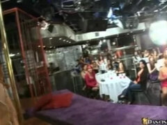 Amatør, Kukk suging, Cfnm, Sperm skott, Ansiktssperm, Hjemmelaget, Fest