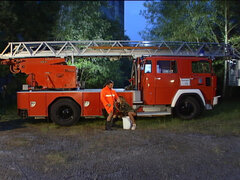 Anaali, Suihinotto, Spermaa suussa, Ulkona, Pissata, Kolmen kimppa, Vuosikerta