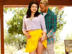 Hatalmas hátsó, Monumentális dákó, Tekintélyes didik, Cumizás, Gesztenyebarna, Kutya póz