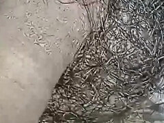 Amatéri, Honění, Indické, Sólo