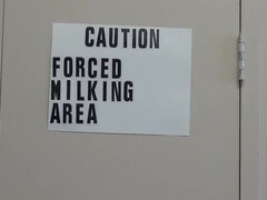 Blondine, Erotik, Håndjob, Hd, Orgasme, Sutte, Bryster, Uniform