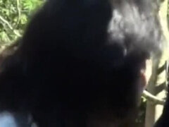 Ázsiai, Krémes süti, Japán, Érett feleség