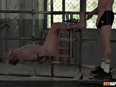 Ομοφυλόφιλος