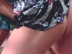 Tekintélyes didik, Kézimunka, Régebbi évjáratú pornó