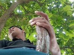 Avsugning, Pappa, Homosexuell, Handjobb, Hardcore, Hemmagjord, Indisk, Olja