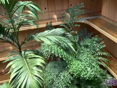 Leie, In den arsch, Blasen, Braunhaarige, Sperma im mund, Niederländisch, Hotel, Milf