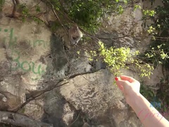 Amateur, Morena, Aceite, Orgasmo, Al aire libre, Pov, Público, Tetas