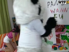 Brunette brune, Faciale, Hd, Jouets