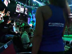 Amatéri, Ázijskej, Veľké péro, Kuřba, Pár, Hardcore, Z pohľadu účastníka, Thajskej