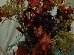 Anal, Blonde, Sucer une bite, Couple, Mère que j'aimerais baiser, Seins naturels, Rétro, Jarretelles