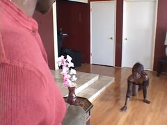 Ebony hottie pounded with big rod