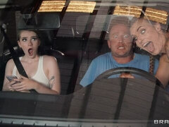 Tekintélyes didik, Szőke, Kutya póz, Nyilvános