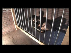 Business Babe Behind Bars