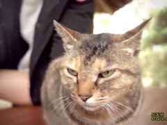 Asiatisch, Tussi, Blasen, Spermaladung, Fetisch, Japanische massage, Jungendliche (18+), Tittenfick