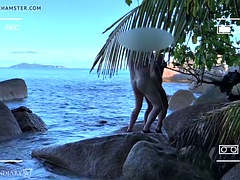 Spy voyeur, naked couple having sex on a public beach - projects