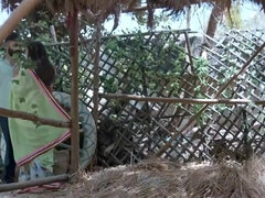 Bruinharig, Hd, Indisch