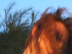 They Are Naughty Anal Fucked Sluts From Germany