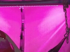 お尻, 緊縛, フェムドム, フェティッシュ, ゴム, 下着, 愛人, ストッキング