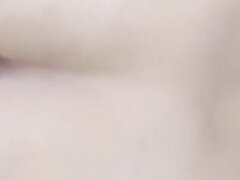 Enthousiasteling, Grote kont, Stel, Indisch