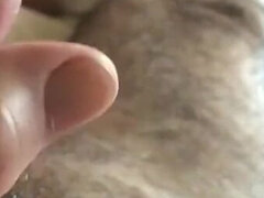 Sperma shot, Handjobb