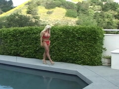 Anal, Store bryster, Pik sutte, Samling, Creme tærte, Imellem racer