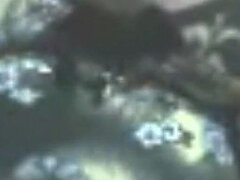 Amateur, Culo grande, Coño, Tetas, Esposa