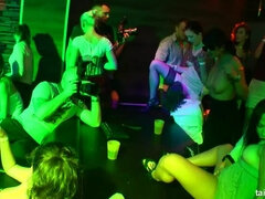 Zwart, Bruinharig, Zoenen, Lesbisch, Likken, Orgie, Kut duiken, Nat