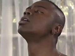 Black n  Brune: Blowjob, Doggy  Missonary Porn