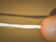 Amaterji, Zunanji izliv, Gej, Dekle drka tiča, Indijka