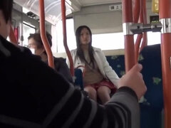 Asijské, Kotě, Hd, Japonské, Na veřejnosti