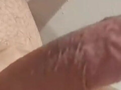 Iso kulli, Eurooppalainen, Soolo, Espanjalainen