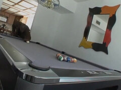 Velké péro, Velké kozy, Černé, Blondýna, Stříkání spermatu, Hardcore, Mezirasové, Kozičky