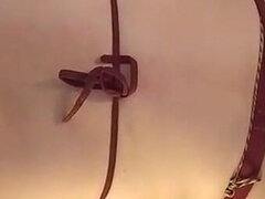 Leie, Wohlbeleibte schöne frauen, Blasen, Braunhaarige, Paar, Latina, Milf, Pov