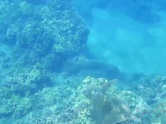 Amateur, Plage, Blonde, Hd, De plein air, Pov, Rasée, Nénés