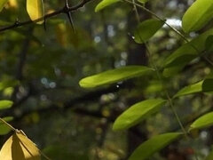 Prvýkrát, Hry, Kancelária