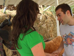 Kuřba, Brunetka, Honění, Hardcore, Peniaze, Prirodzené prsia, Študent