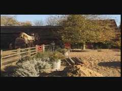 Анальный секс, Британки, Двойное проникновение, Чулки